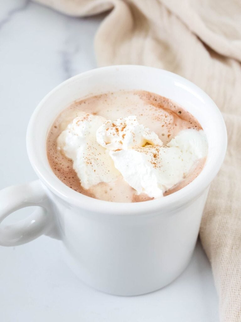 Mug of hot cocoa made with homemade hot chocolate mix.