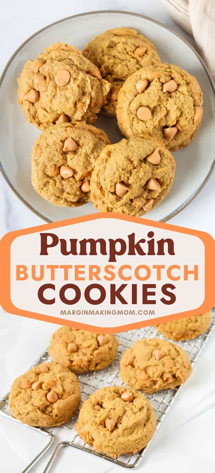 two photos; one is an overhead view of an ivory plate with five pumpkin butterscotch cookies on it; the other shows several of the pumpkin butterscotch chip cookies on a wire rack.