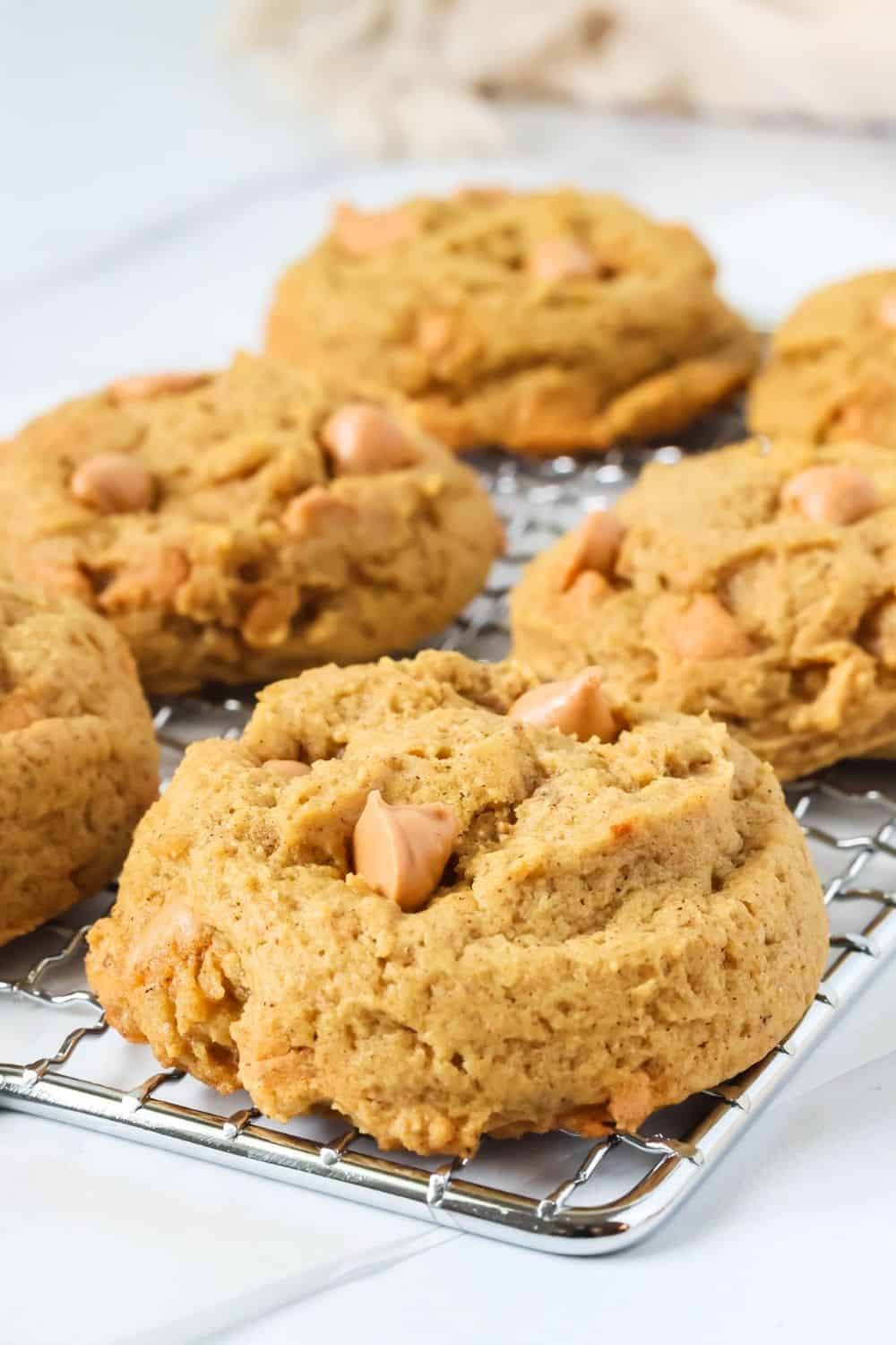 Close-up view of pumpkin cookies with butterscotch chips on a wire rack.