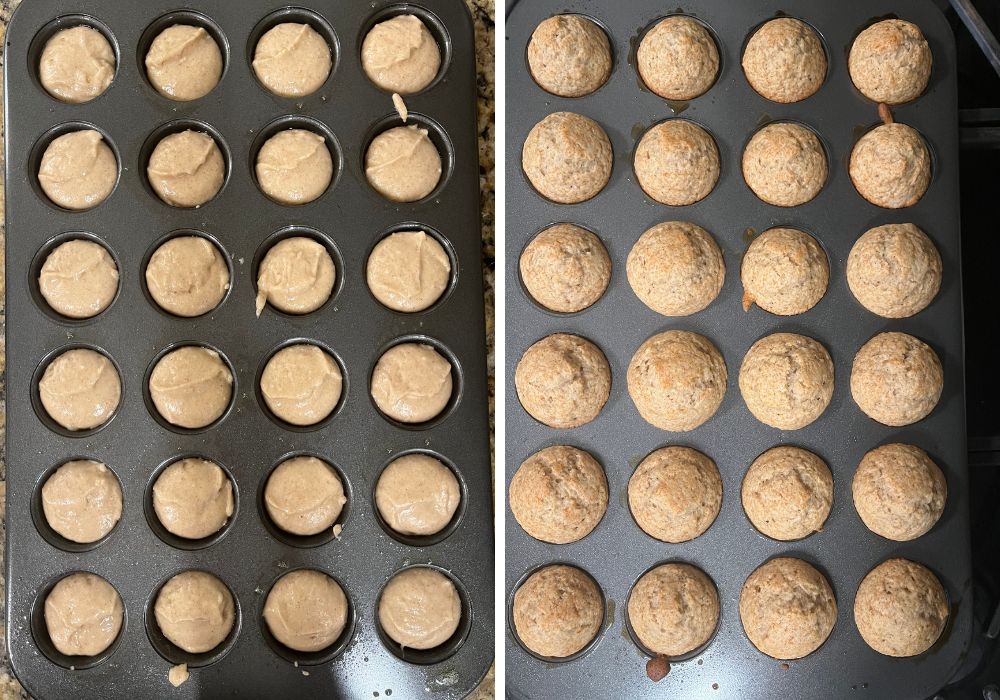 Two photos; one shows apple cider donut batter in a mini muffin pan; the other shows the mini muffins in the pan after baking.
