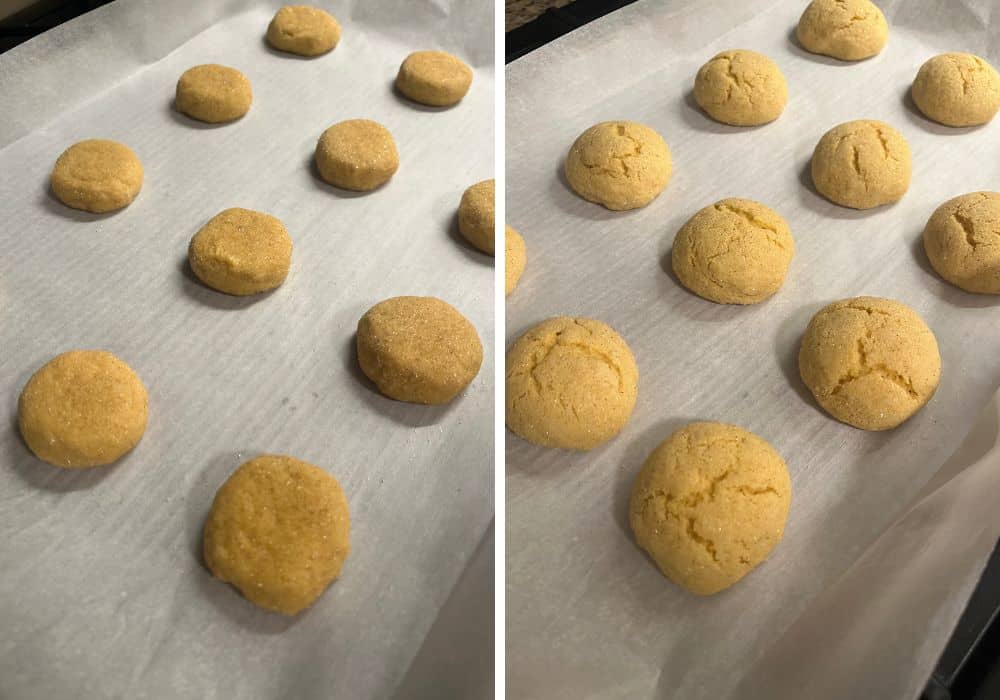 Two photos; one shows rounds of pumpkin sugar cookie dough on a parchment-lined baking sheet; the other shows the cookies on the baking sheet after coming out of the oven.