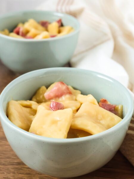 Two light blue bowls of ham and dumplings.
