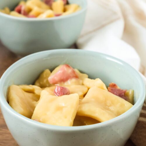 Two light blue bowls of ham and dumplings.