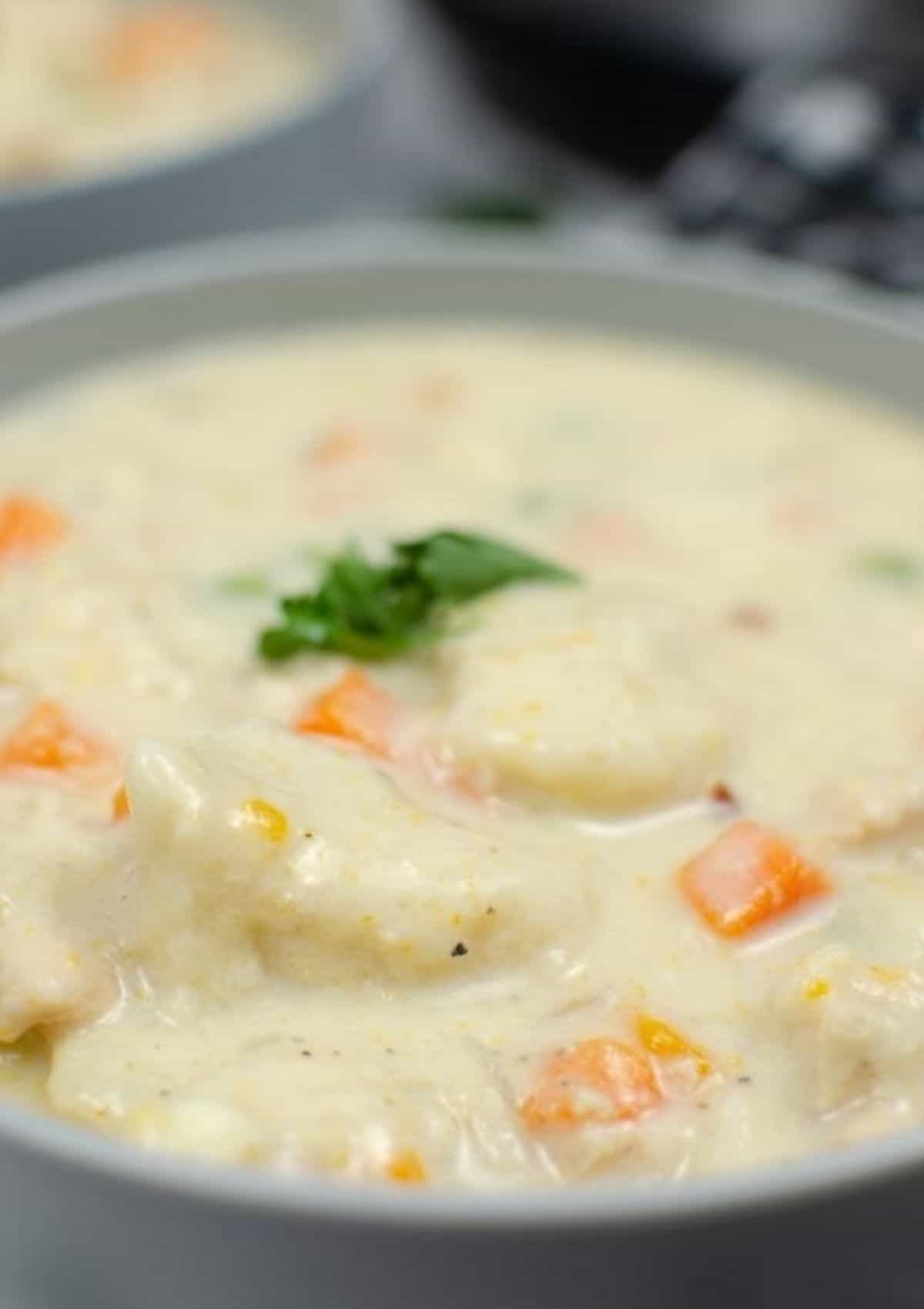close-up view of Instant Pot chicken and dumplings made with biscuit dough